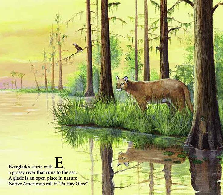 A FLORIDA Alphabet picture book: S is for Sunshine
