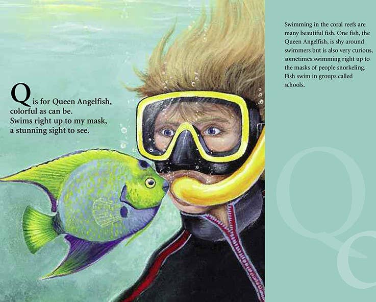 A FLORIDA Alphabet picture book: S is for Sunshine