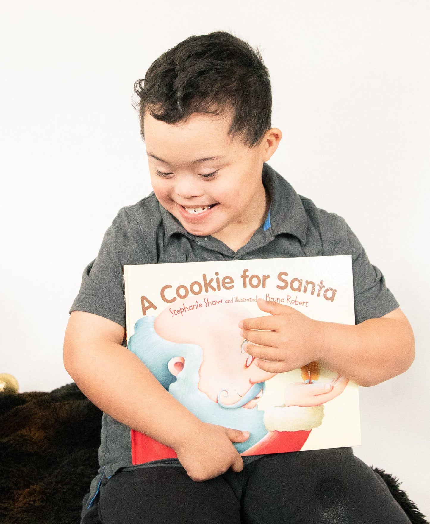 A Cookie for Santa - children's picture book