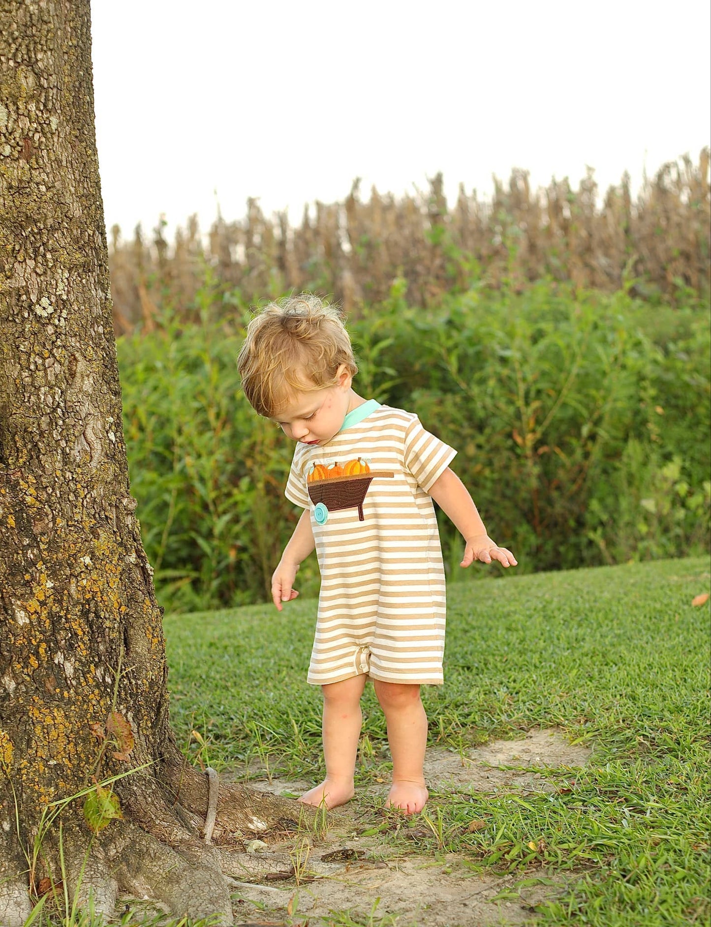 Pumpkin Harvest Tan Stripe Applique Romper