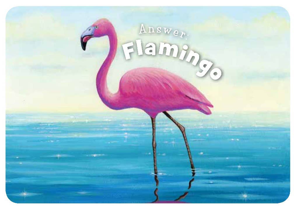 Little Florida board book