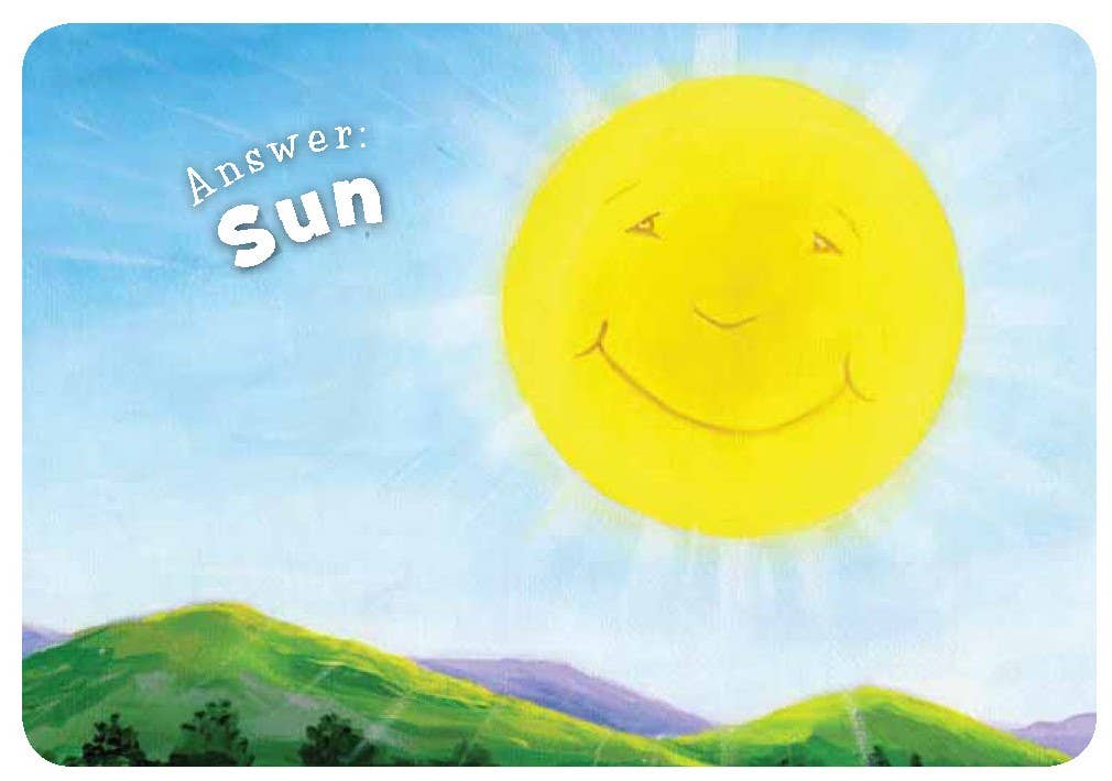 Little Florida board book