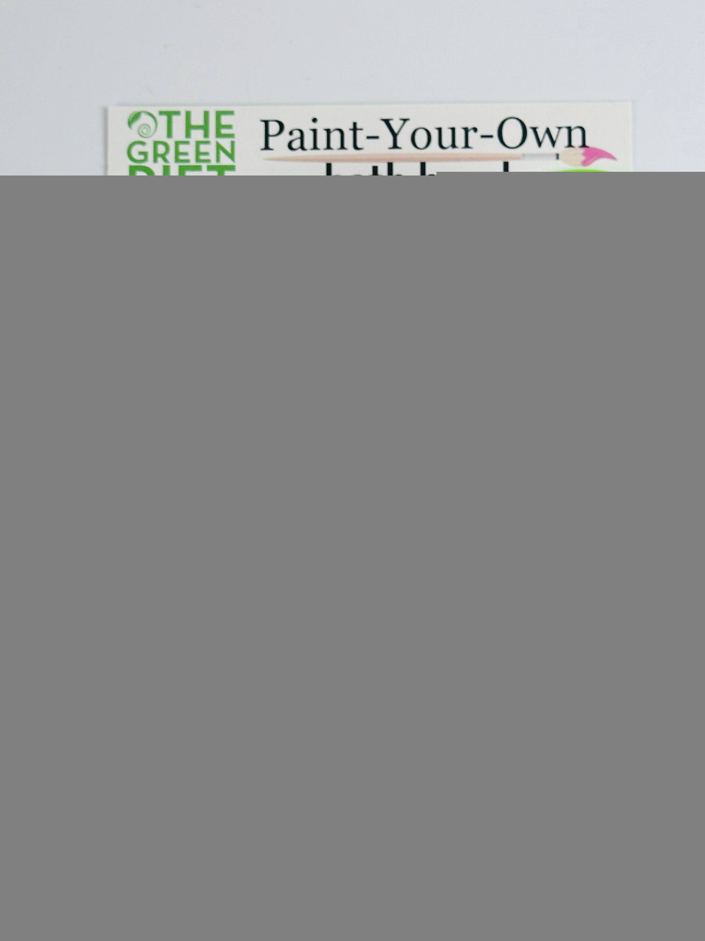 Dino Bath Bomb Paint-Your-Own Set