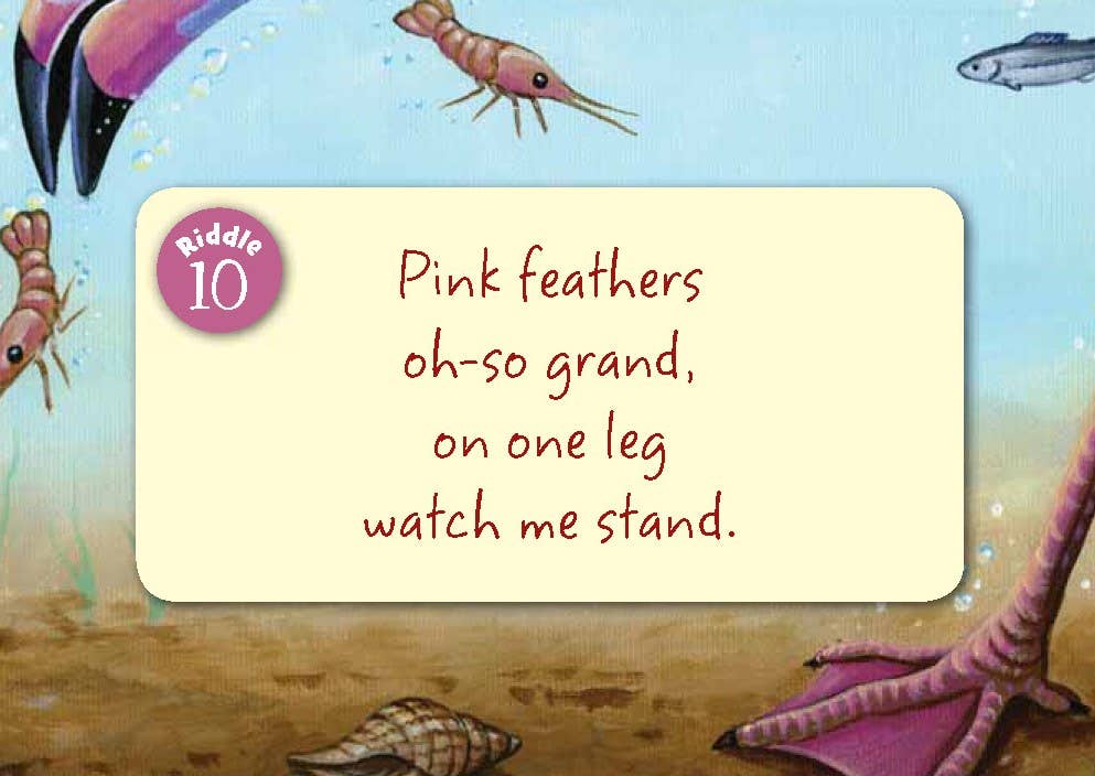Little Florida board book