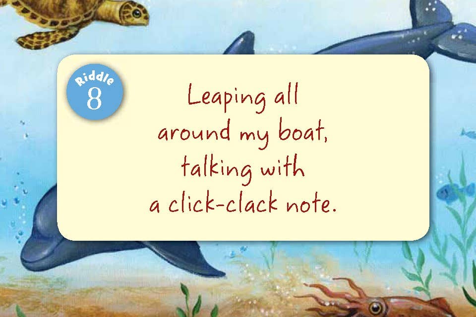 Little Florida board book