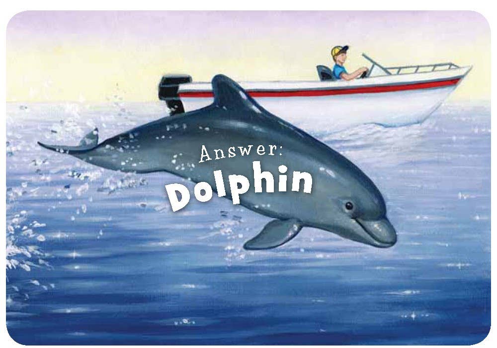 Little Florida board book