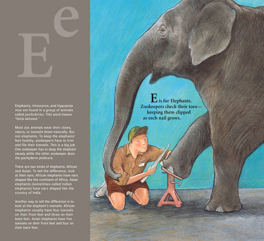 Z is for Zookeeper: A Zoo picture book Paperback